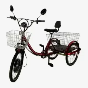 Electric Tricycle