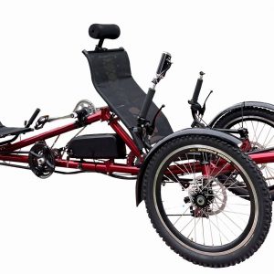 Electric Tricycle