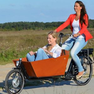 Stylish electric tricycle for adults with cargo basket for comfortable rides.