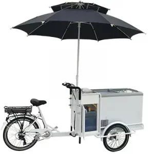 Small Business Ice Cream Cart Food Vending Bike