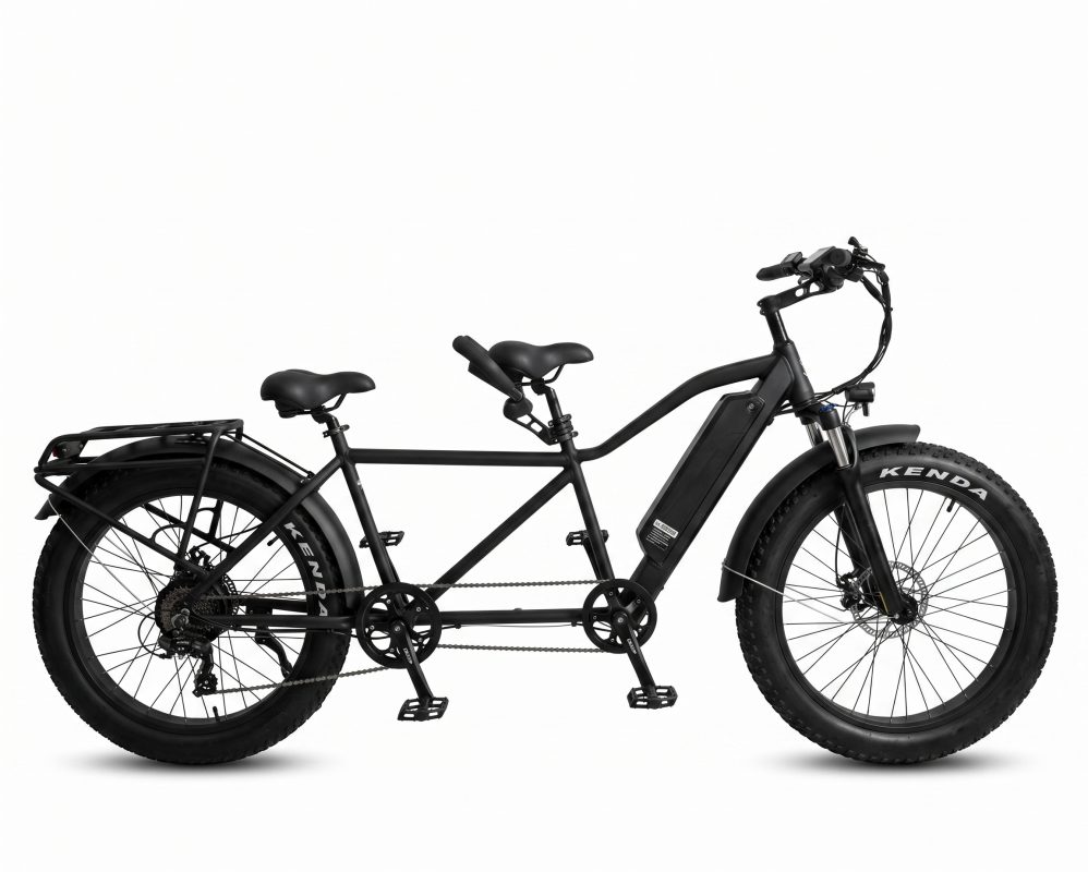 tandem bike 2