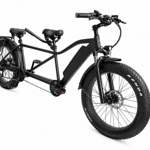Fat Tire Electric Tandem Bicycle Bike