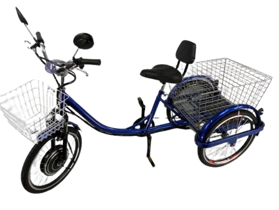 Best 3 wheels electric bike for adults