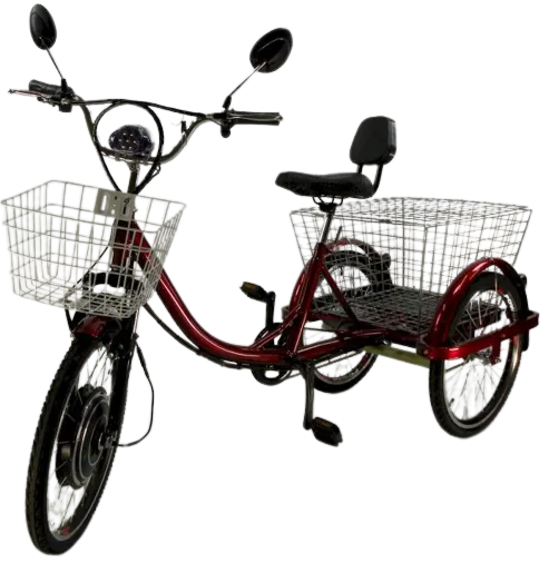 Best 3 wheels electric bike for adults