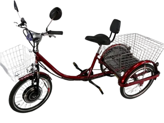 Best 3 wheels electric bike for adults
